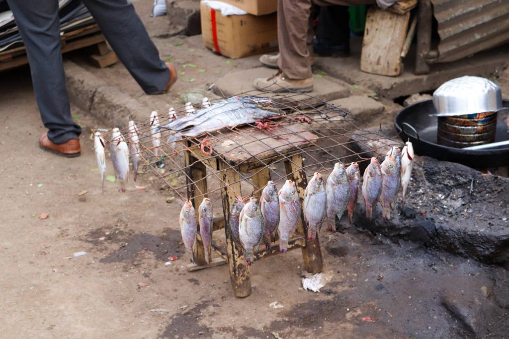 Fish Mathare