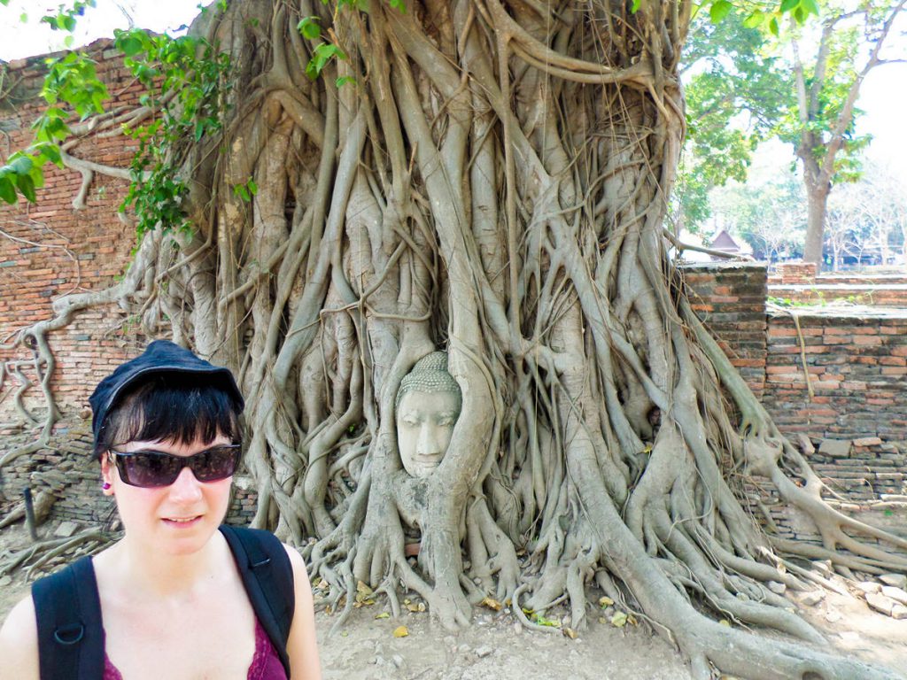 Buddha Kopf Wat Mahathat Ayutthaya