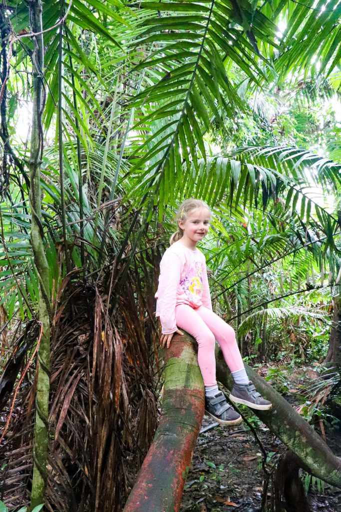 Unsere Tochter im Dschungel