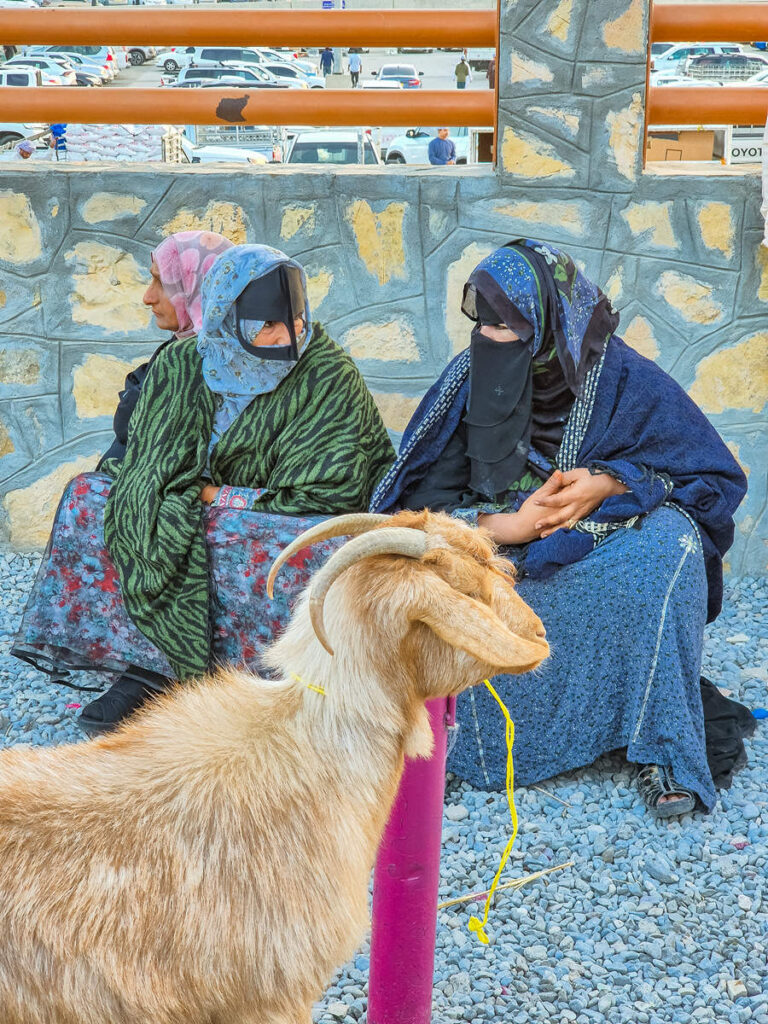 Einheimische Frauen auf dem Ziegenmarkt in Nizwa